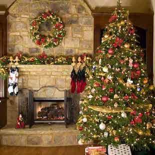 O Christmas Tree album cover